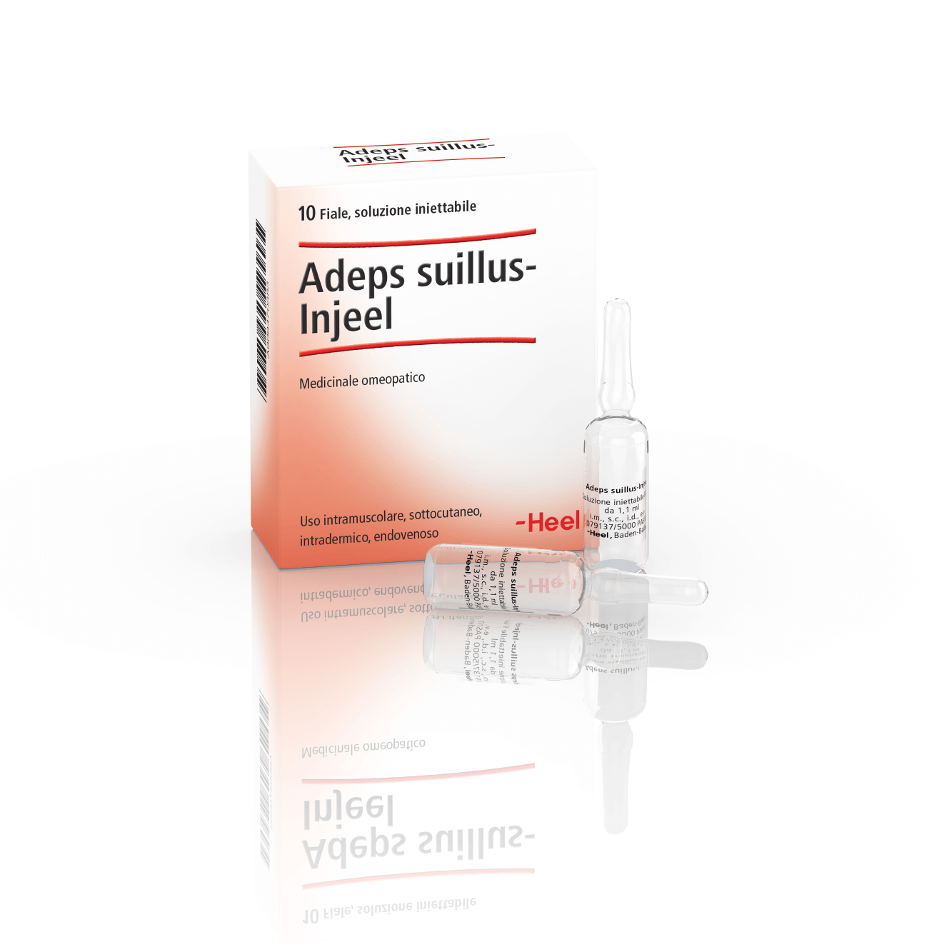 ADEPS SUILLUS INJEEL 10 FIALE HEEL